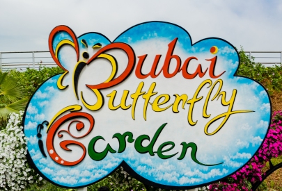 Dubai Butterfly Garden