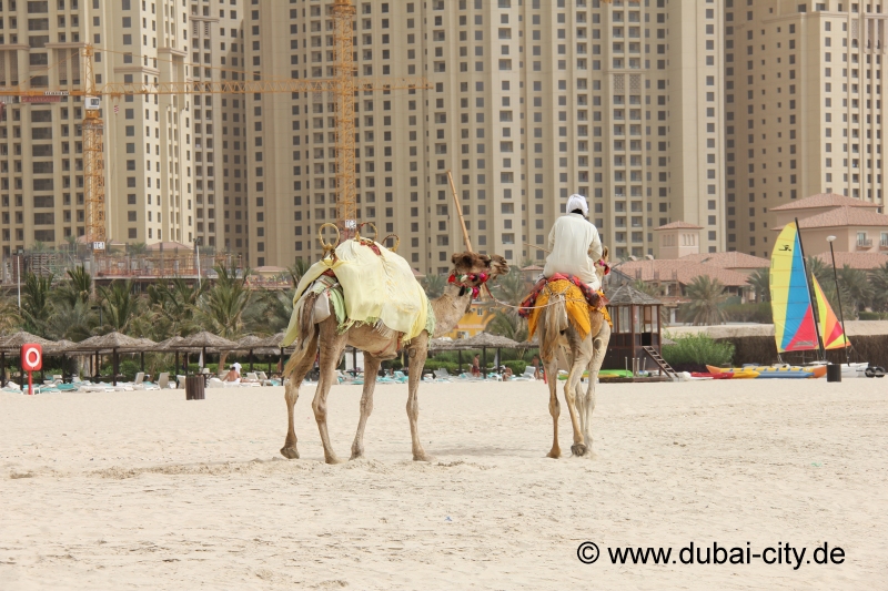 Dubai Reisefhrer