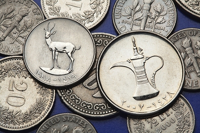 VAE Dirham